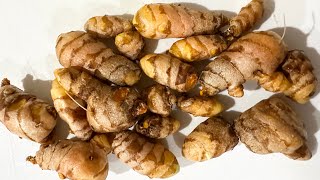 How to store Turmeric Root [upl. by Botsford]