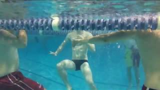 Tread water  Swim Workout [upl. by Rodolfo]