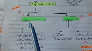 NSAIDs introduction part2 Classification [upl. by Birgitta]