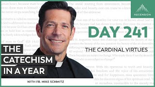 Day 241 The Cardinal Virtues — The Catechism in a Year with Fr Mike Schmitz [upl. by Nidia597]