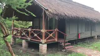 Tarangire Simba Lodge 28102019 [upl. by Zane512]