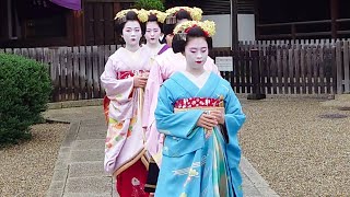 Geisha Walk in single file in the Gion district of Kyoto Geishaspotting [upl. by Anaizit]