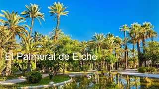 The Palmeral of Elche Spain [upl. by Loris]