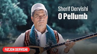 Sherif Dervishi  O pellumb [upl. by Magel]