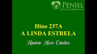 Hinário Novo Cântico Hino 237A quotLinda estrelaquot [upl. by Ackley]