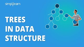 Binary Search Tree  Data Structures [upl. by Oniotna]