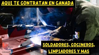 Trabajos en canada para latinos APLICA YA [upl. by Grory]