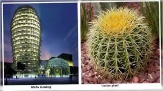 10 Nature Inspired Architectural Designs [upl. by Pogah]