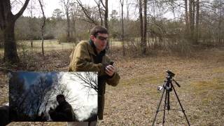 Testing Dead Airs SandmanS and SandmanL on 300 BLK [upl. by Brnaby]