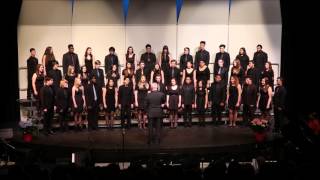 Indodana Sung by Cawthra Park Chamber Choir 2016 [upl. by Mathi]