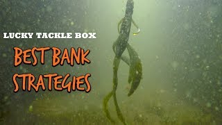 BEST Bank Fishing Strategies For Bass [upl. by Ennylcaj]