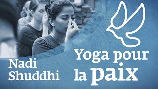 Right way to do Nadi Shuddhi Shodhan Pranayama  Nadishodhan Yoga  नाड़ी शुद्धि प्राणायाम  NBT [upl. by Raynold]