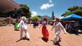 Danza del torito pinto [upl. by Hudis]