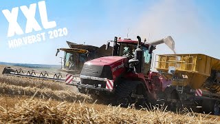 🇫🇷XXL MOISSON DE BLE 2020 😱 22 M 🌾   2x NEW HOLLAND CR 990 amp QUATRAC 620  DELMOTTE FARM [upl. by Ogdan363]