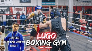 WHOA INSANE Open Sparring Event With WORLD CLASS Amateur Boxers [upl. by Ornas]