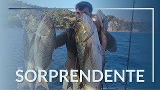 Pesca a traina col vivo bottino SORPRENDENTE [upl. by Cima]