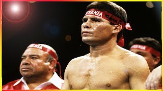 Julio Cesar Chavez  Stunning Knockouts in Boxing [upl. by Solitta]