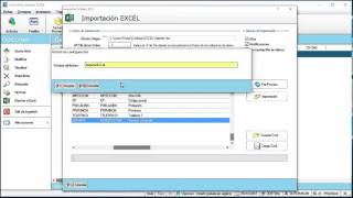 Importación Excel desde Visionwin Nuevo [upl. by Hammer]