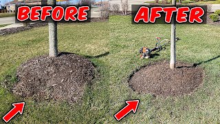 STIHL BR800 Backpack Blower ► STIHL Influencer Summit ► Br800C vs Br800X [upl. by Tammara]