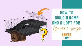 How to Build a Ramp and a Loft Effortlessly on your Guinea Pigs CampC Cage [upl. by Akired]