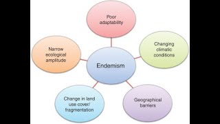 Hypothesis about endemism [upl. by Delmar]