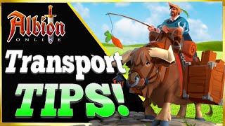 Albion Online  Heart Transport Silver Per Hour [upl. by Leugimesoj976]