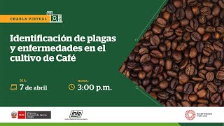 Identificación de plagas y enfermedades en el cultivo de Café [upl. by Eleynad]