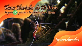 Nano Marinho Parte 2 aquariomarinho aquarionano [upl. by Switzer225]