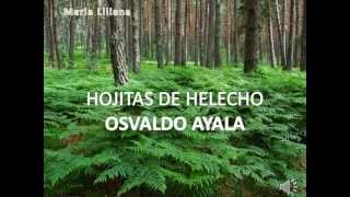 HOJITAS DE HELECHO OSVALDO AYALA [upl. by Nosirb902]