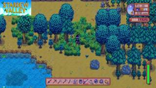 Stardew Valley  Mayors Purple Shorts  Location [upl. by Aitnas]