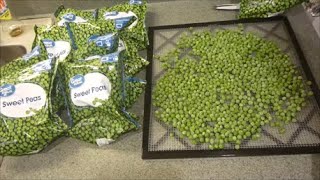 How to Dehydrate Frozen Peas [upl. by Hughie]