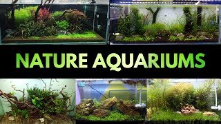 UTEKAR FISHERIES NATURE AQUARIUMS [upl. by Eibur101]