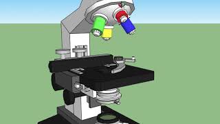 Partes y funciones del microscopio [upl. by Maxie167]