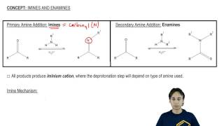 Imines and Enamines General Reactions [upl. by Isman31]