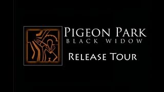 Pigeon Park  quotBlack Widowquot Tour [upl. by Yremogtnom]