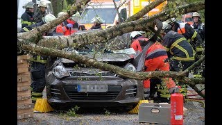 Sturm und Unwetter fordern Todesopfer „Xavier“ fegt über Hamburg hinweg [upl. by Valonia]