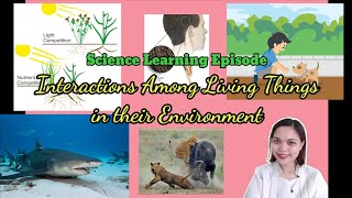 Interactions Among Living Things in their Environment Grade 4 Science Quarter 2 Week 7 [upl. by Orvan20]