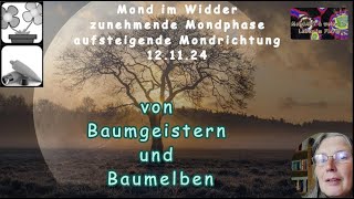 Mond Geflüster von Baumgeistern und Baumelben [upl. by Bain]