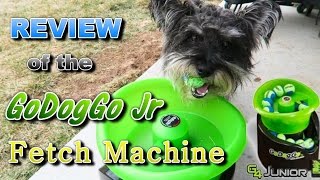 Review of the GoDogGo Jr Automatic Fetch Machine [upl. by Rutherfurd]