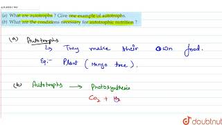 a What are autotrophs Give one example of autotrophs b What are the conditions necessary [upl. by Chambers]