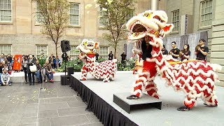 American Art Museum brings Lunar New Year celebrations to US capital [upl. by Anitsirt]