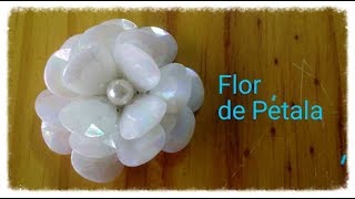 FLOR DE PÉTALAS [upl. by Marolda589]