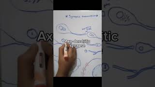 Types of synapses  1 Axodendritic synapse2 Axosomatic synapse3 Axoaxonic synapse [upl. by Mahan]