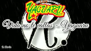 Vida no te Vallas  Los Yaguaru LETRA  Rubén Morón [upl. by Assiralk]