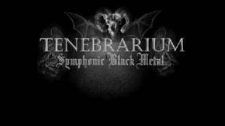 Sinfull agony  Tenebrarium [upl. by Anitsrik]