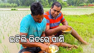 ଇଟିଲିରେ ପଶିଲା ପାଣି 🤪 l Gouranga Nayak Odia Vlogs l Idli amp Ghuguni [upl. by Zilevi]