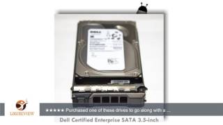 Dell Certified 1TB Enterprise Class SATA 35quot Hard Drive for Poweredge T310 T320 T410 T420 T610 [upl. by Teeniv]