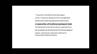 DEVELOPMENT OF RESPIRATORY SYSTEM EMBRYOLOGY OF RESPIRATORY SYSTEM [upl. by Ohce876]