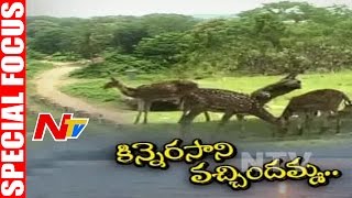 Kinnerasani Wildlife Sanctuary  Special Focus  NTV [upl. by Stephenie809]