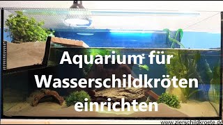 Aquarium für WasserschildkrötenHaltung einrichten [upl. by Orlene863]